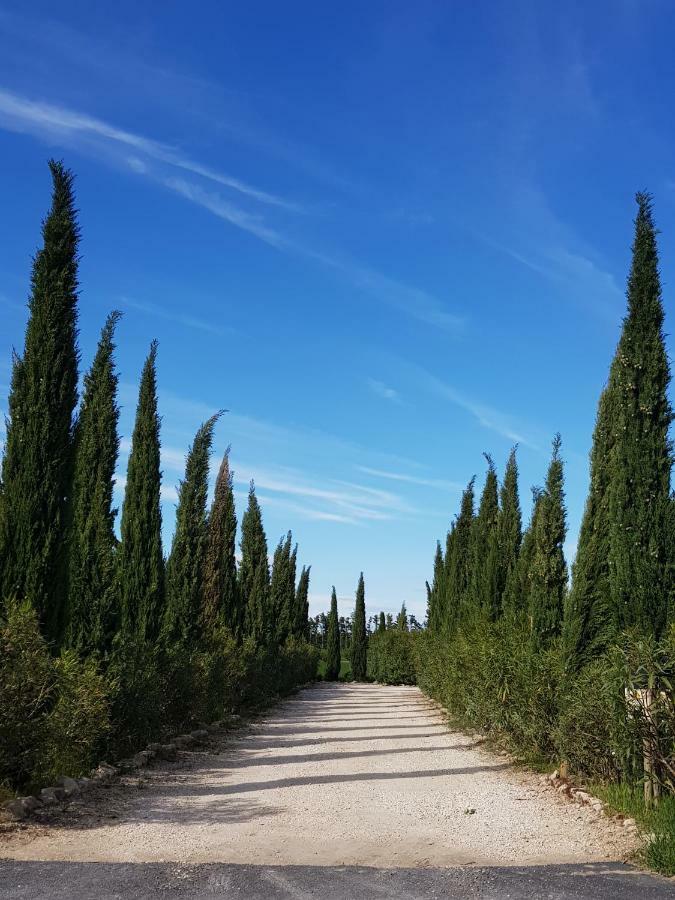 Le Mas De Guiguite Mézoargues Εξωτερικό φωτογραφία