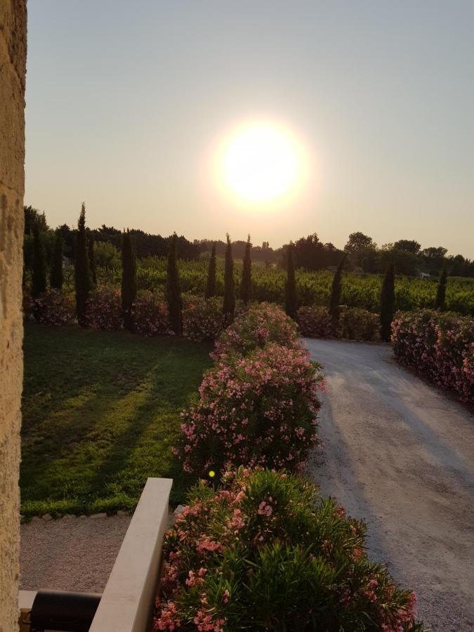 Le Mas De Guiguite Mézoargues Εξωτερικό φωτογραφία