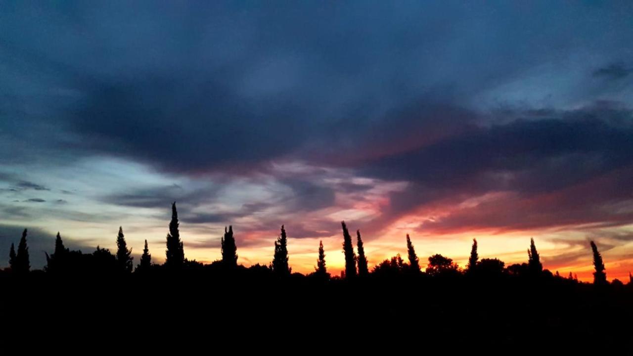 Le Mas De Guiguite Mézoargues Εξωτερικό φωτογραφία